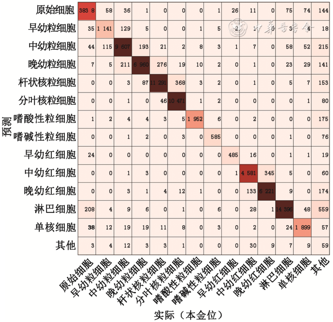 尖峰对话I深析&河北二院专家获骨髓形态学AI领域新成果! - 深析智能有限公司